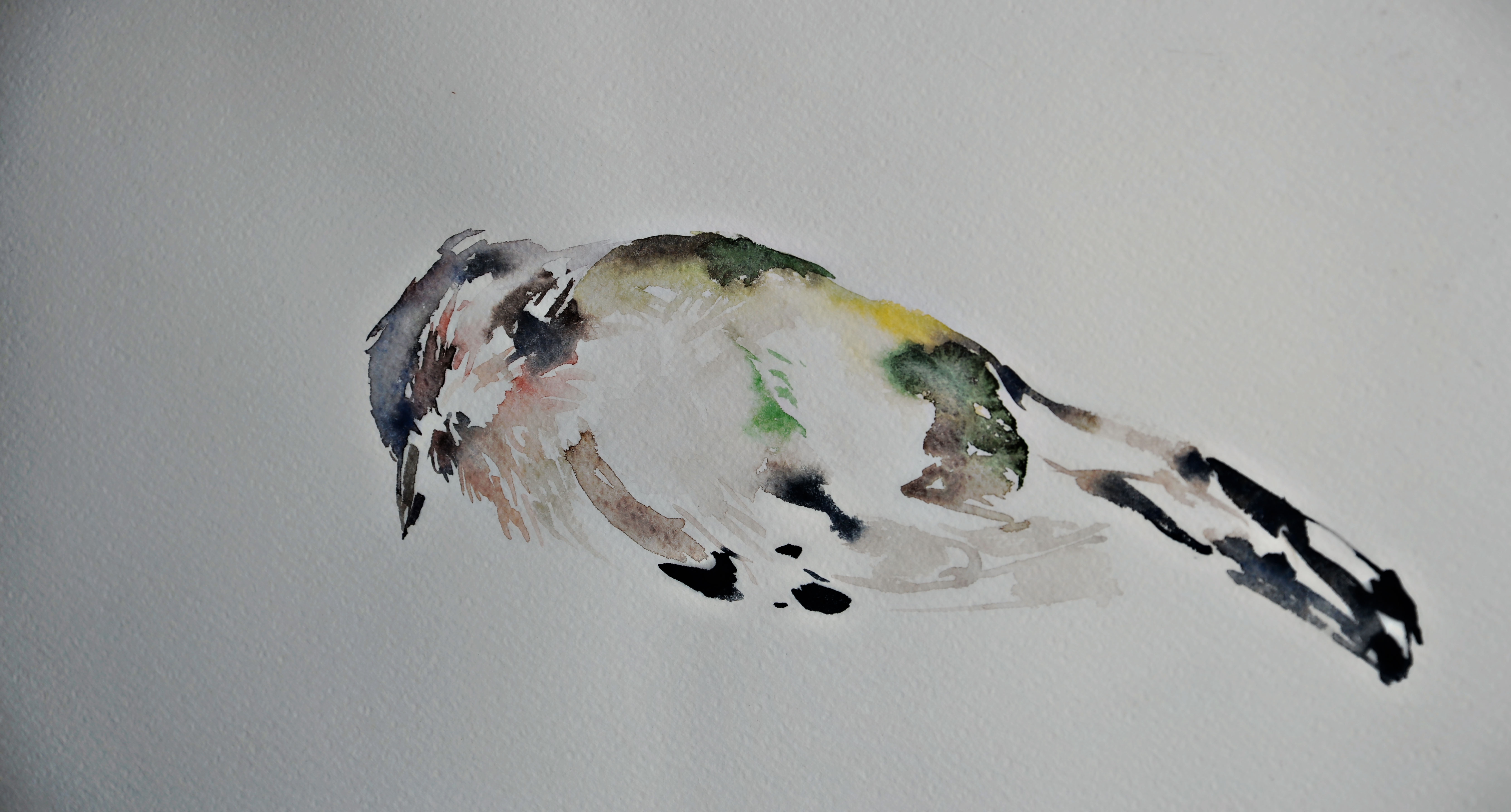 Lorem ipsum dolor sit amet