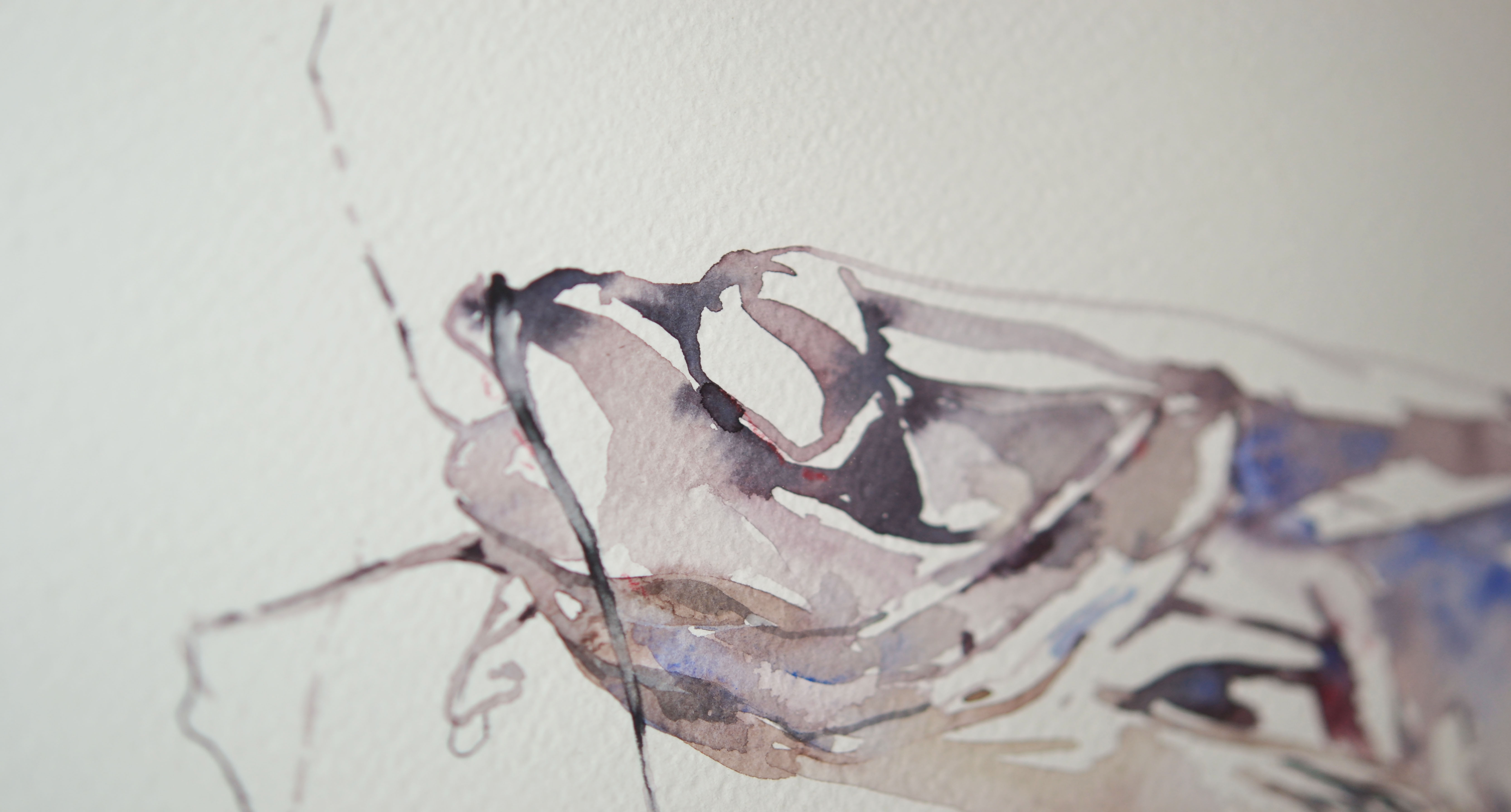 Lorem ipsum dolor sit amet